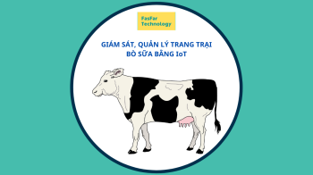 GIÁM SÁT, QUẢN LÝ TRANG TRẠI BÒ SỮA BẰNG IoT